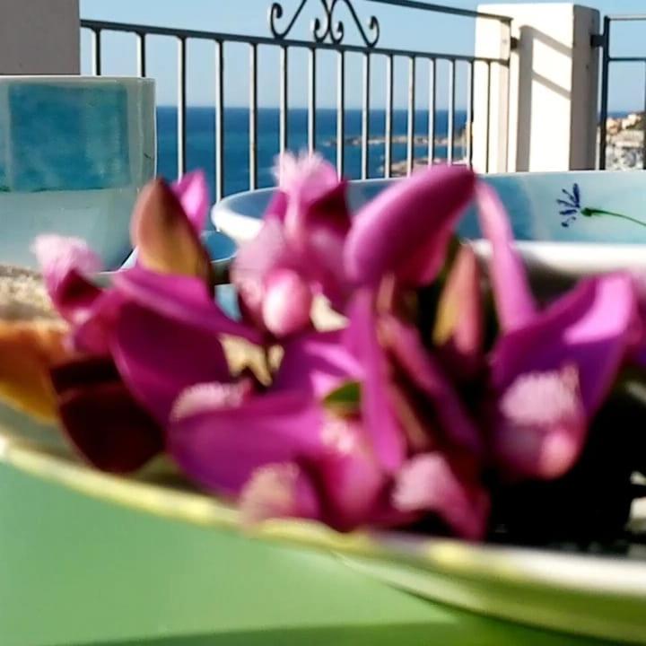 Agriturismo La Tuffatrice Imperia Kültér fotó