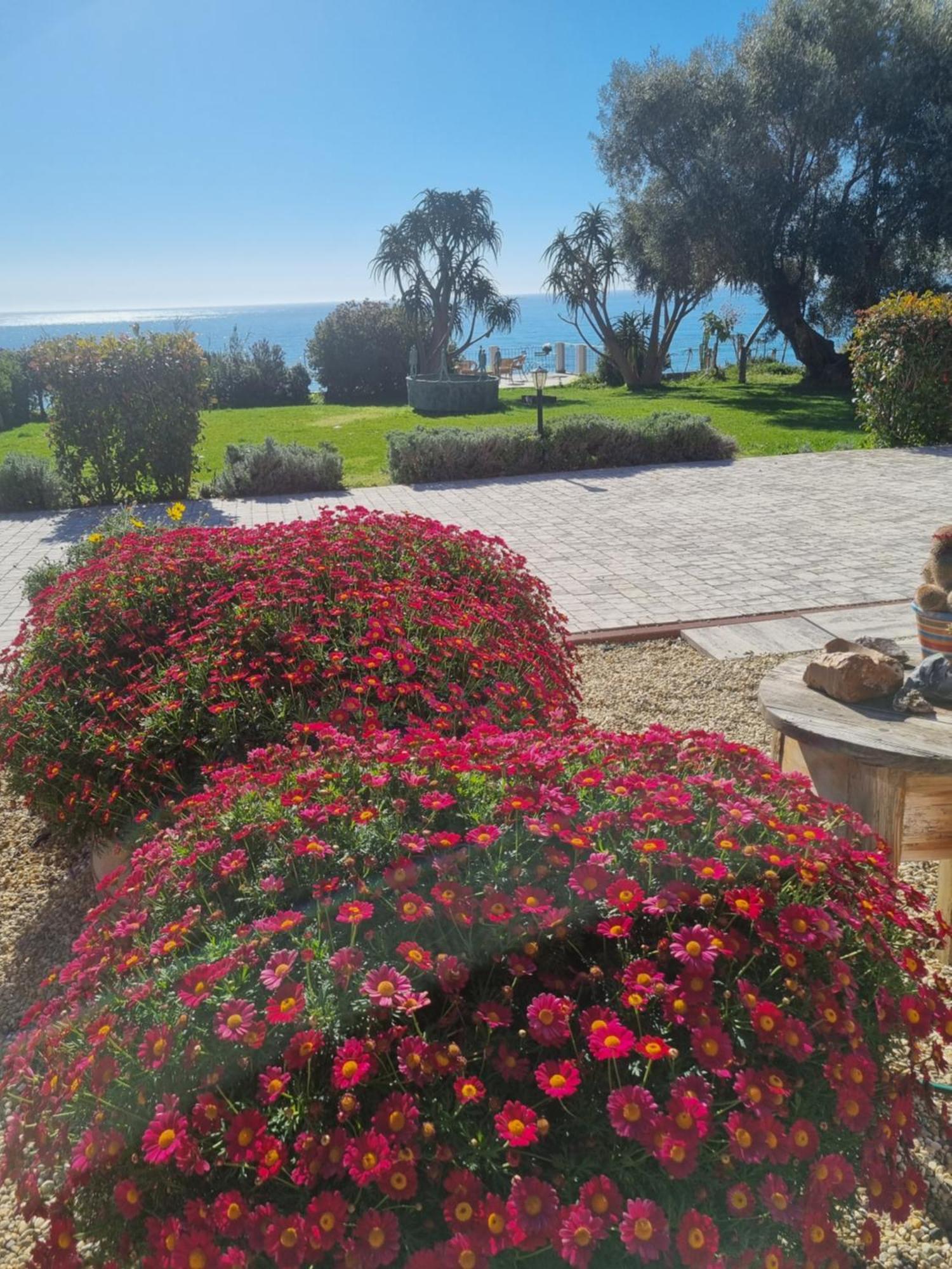 Agriturismo La Tuffatrice Imperia Szoba fotó