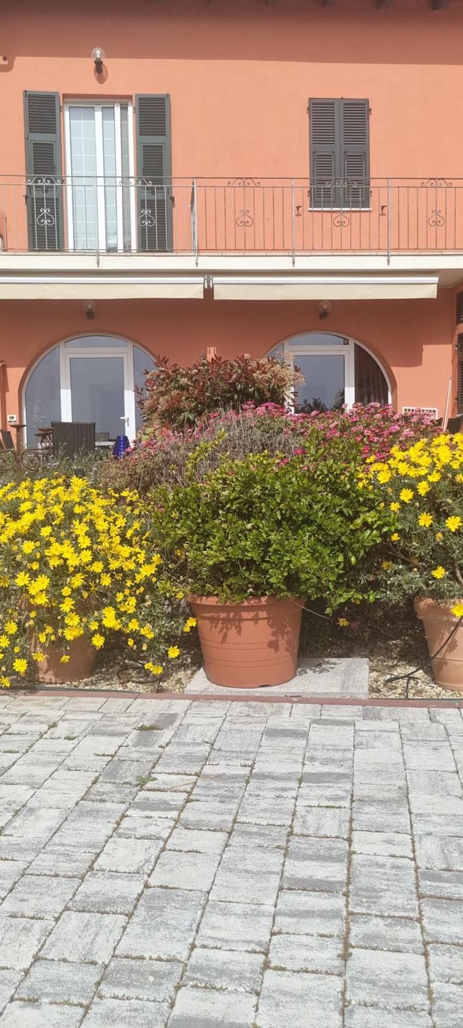Agriturismo La Tuffatrice Imperia Kültér fotó